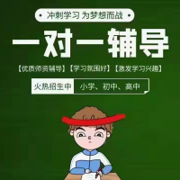 一对一辅导