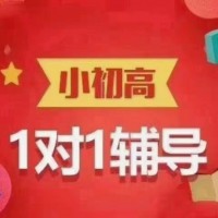 小初高1对1辅导