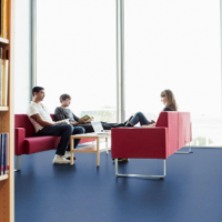 PVC同质透心地板