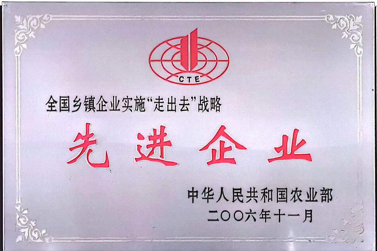 全国乡镇企业实施“走出去”战略先进企业