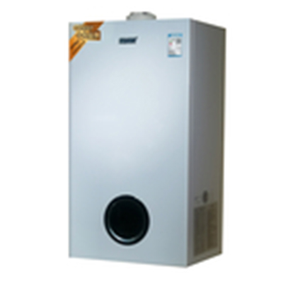 LL1GBQ24全预混冷凝机