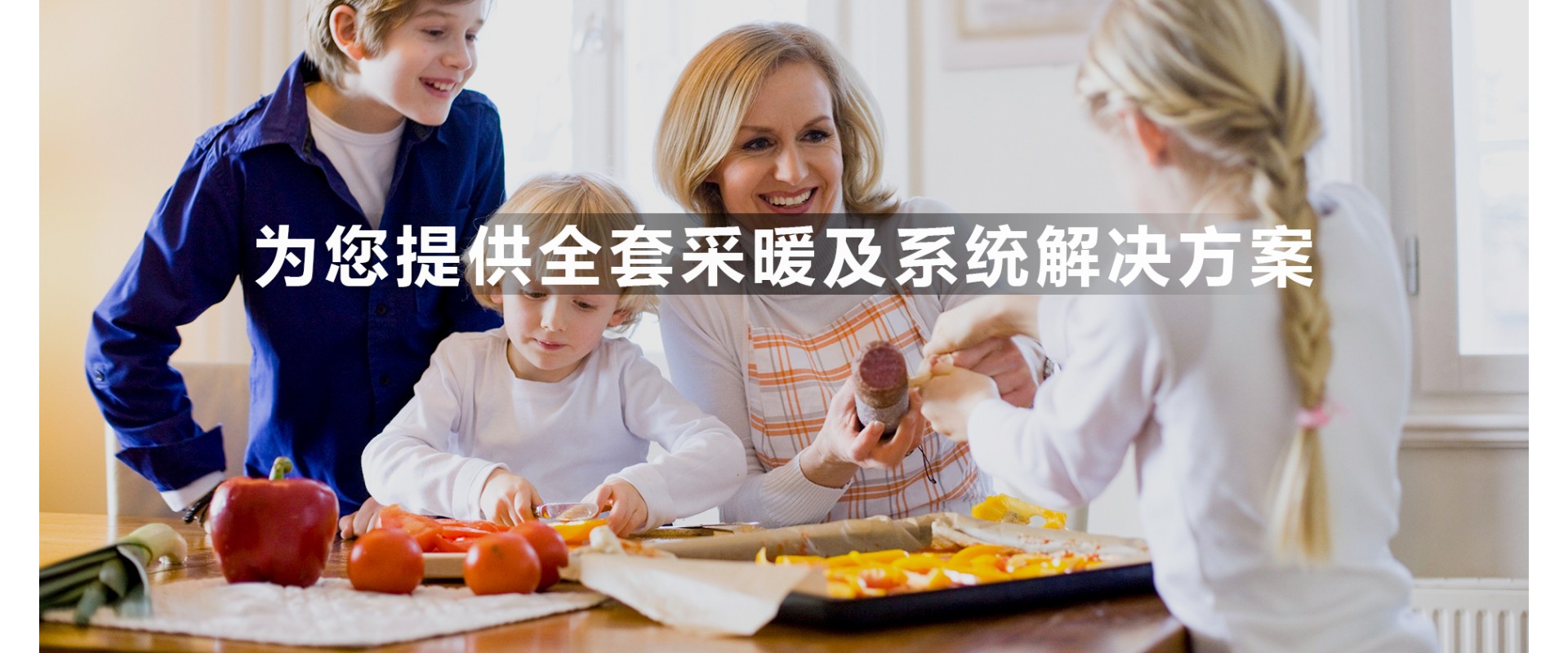 德国斯锐科壁挂炉