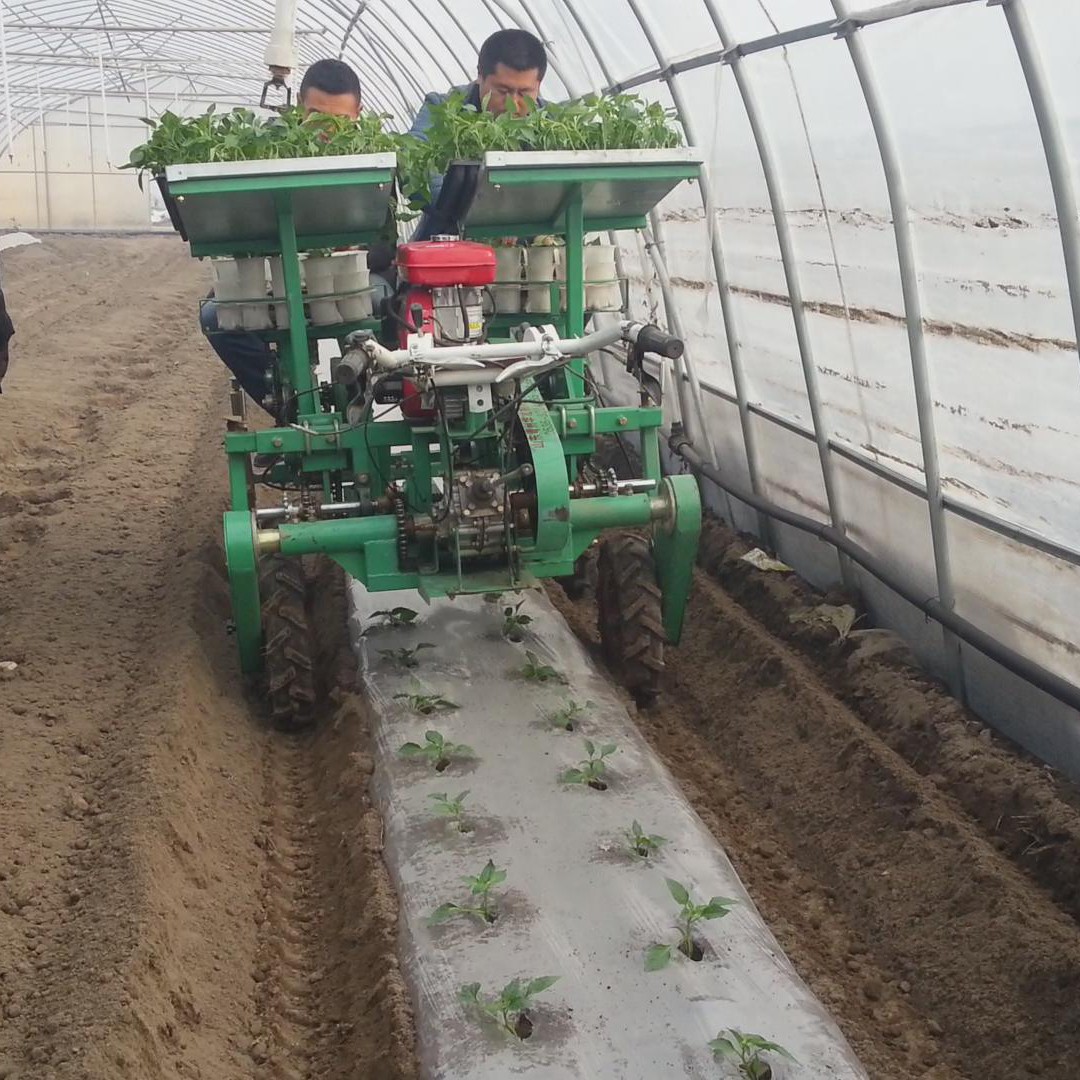 辣椒移栽机