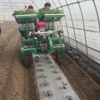 辣椒移栽机