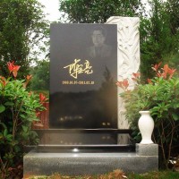 华工材料学院院长陈立亮